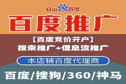百度竞价广告投放策略：案例分析及优化建议